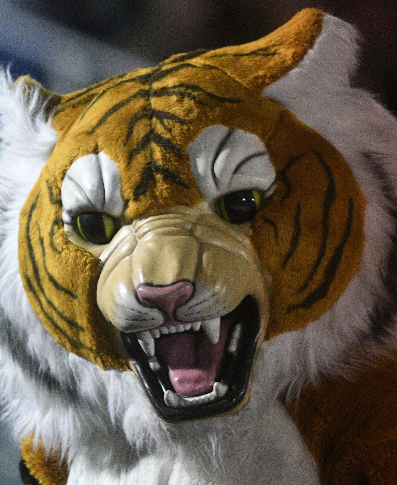 Football - Twin Falls Vs. Jerome